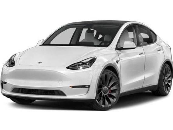 TESLA MODEL Y 2021 5YJYGDEF8MF259359 image
